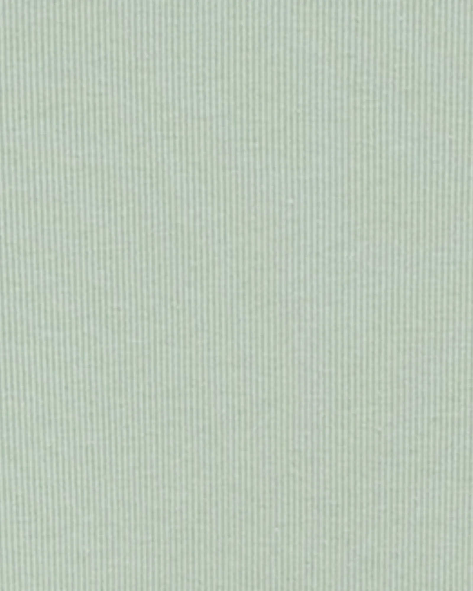 Andy Ribbed Tank | Mint