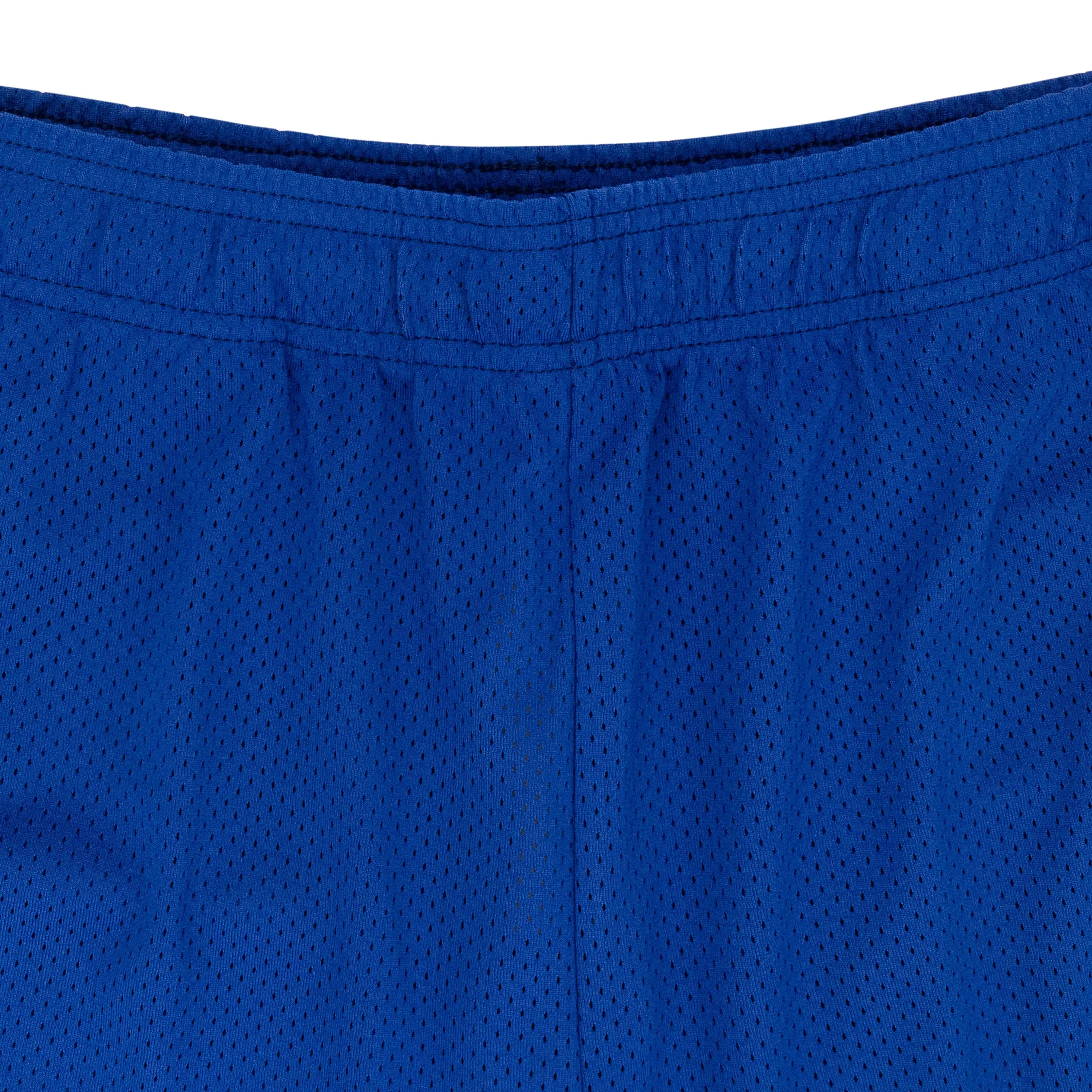 BAT REAPER MESH PURPLE SHORTS