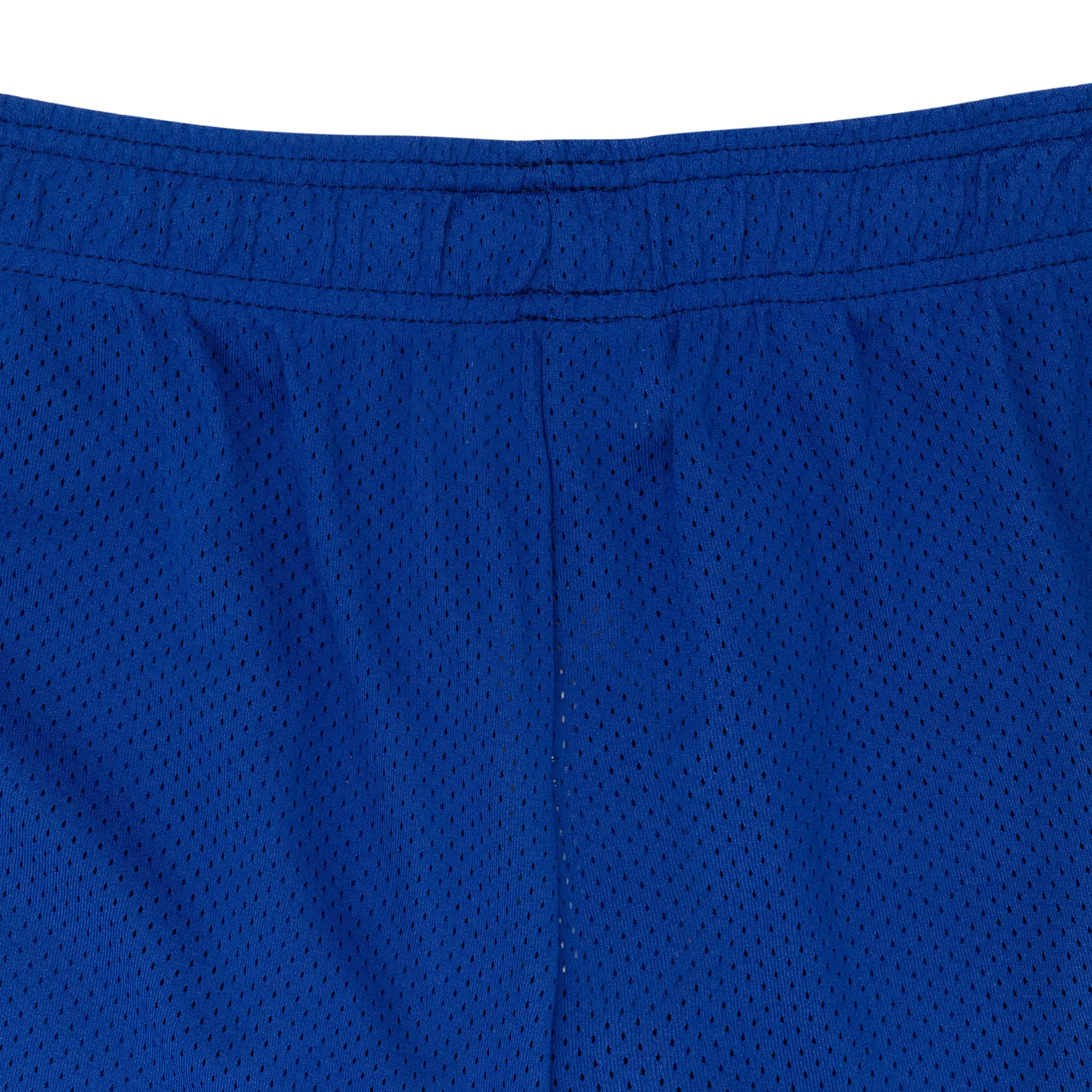 BAT REAPER MESH PURPLE SHORTS