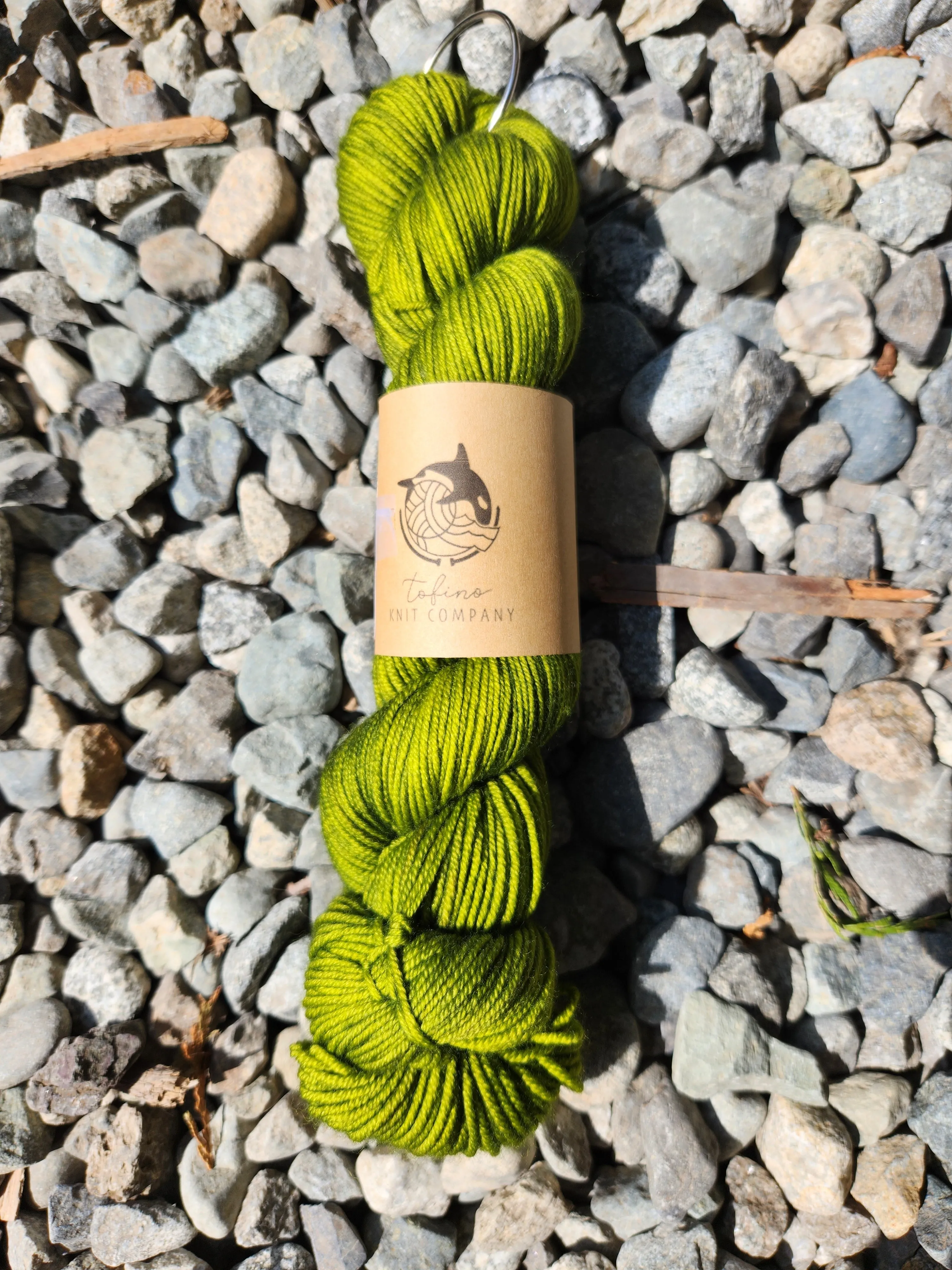 Eel Grass