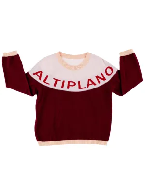 Tinycottons sweater Altiplano bordeaux